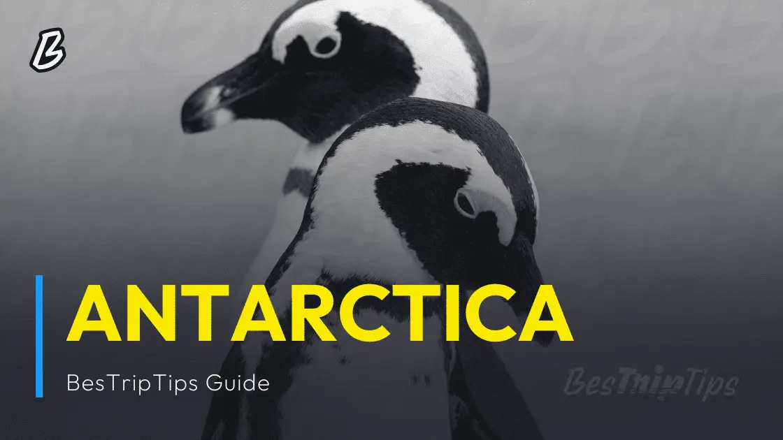 BesTripTips - Antarctica