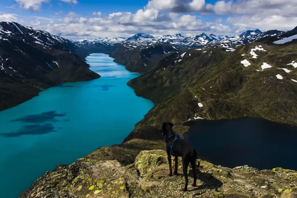 Jotunheimen National Park Nature - Norway - BesTripTips